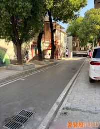 ����ZJ